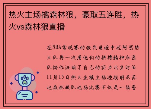 热火主场擒森林狼，豪取五连胜，热火vs森林狼直播