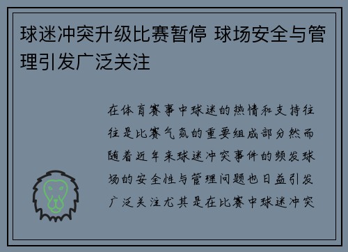 球迷冲突升级比赛暂停 球场安全与管理引发广泛关注