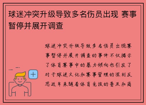 球迷冲突升级导致多名伤员出现 赛事暂停并展开调查